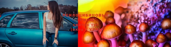 эйфоретик Баксан