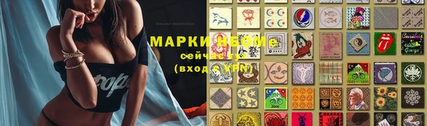 эйфоретик Баксан