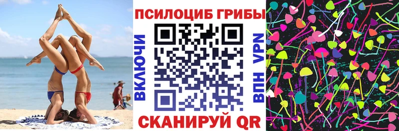 сколько стоит  Красноперекопск  Псилоцибиновые грибы Magic Shrooms 